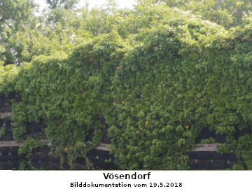 myMedia File:431.pdf